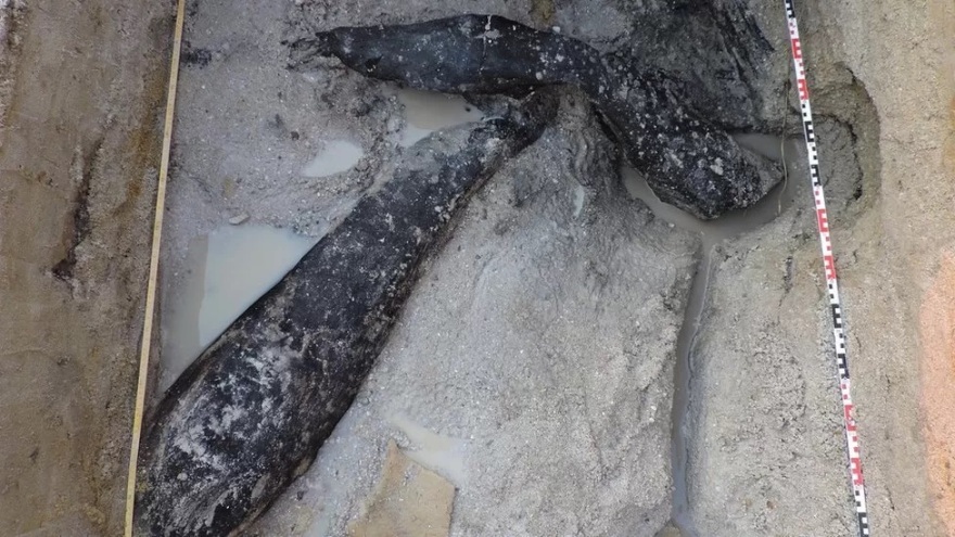 Δύο κομμάτια ξύλου 500.000 ετών ξαναγράφουν την προϊστορία του ανθρώπου