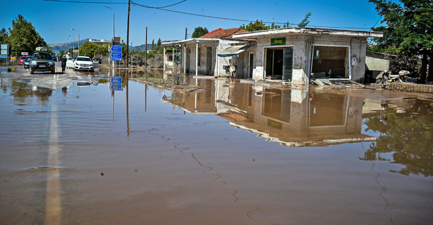 Θεσσαλία: Συνεχίζεται η κρατική αρωγή για τις αγροτικές εκμεταλλεύσεις που επλήγησαν