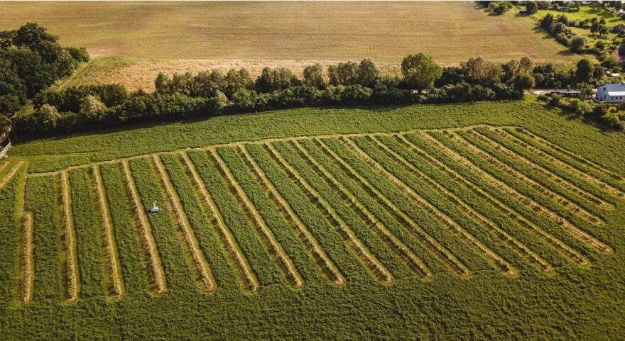 Πώς η αναγεννητική γεωργία θα μπορούσε να σώσει το κλίμα