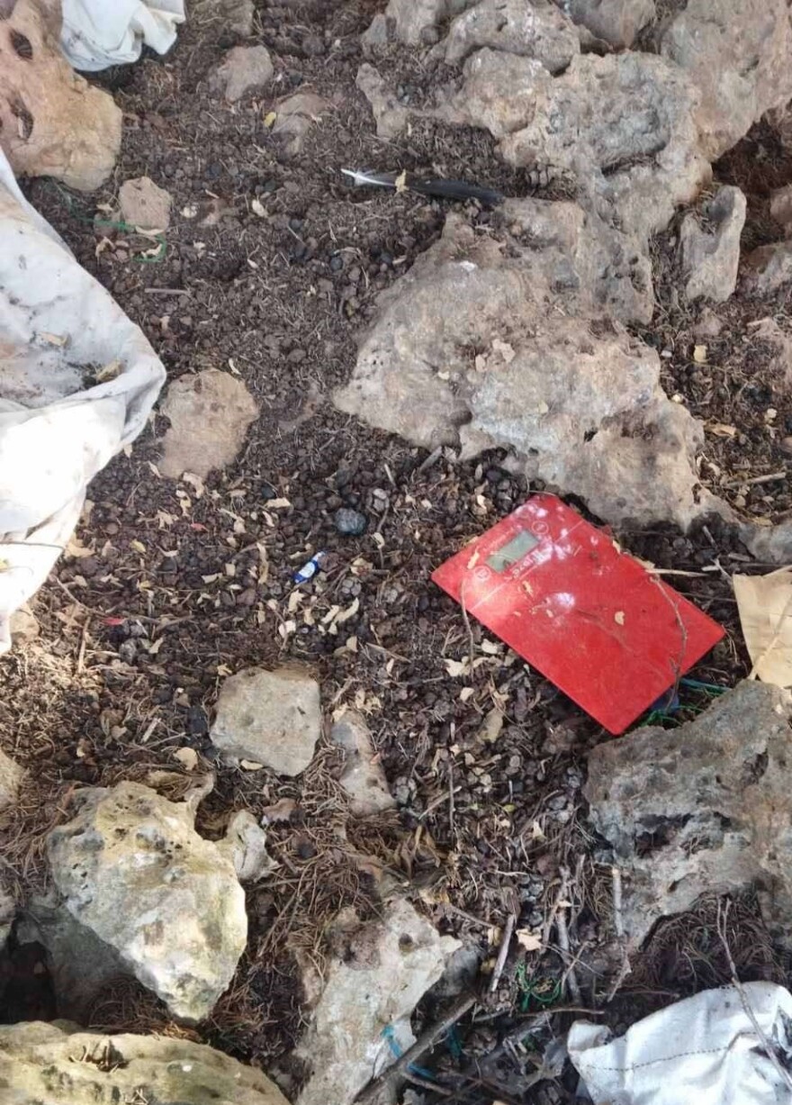 Χανιά: Χασισοφυτεία με θηριώδη δενδρύλλια - Κατασχέθηκαν πάνω από 10 κιλά κάνναβης (φωτογραφίες)