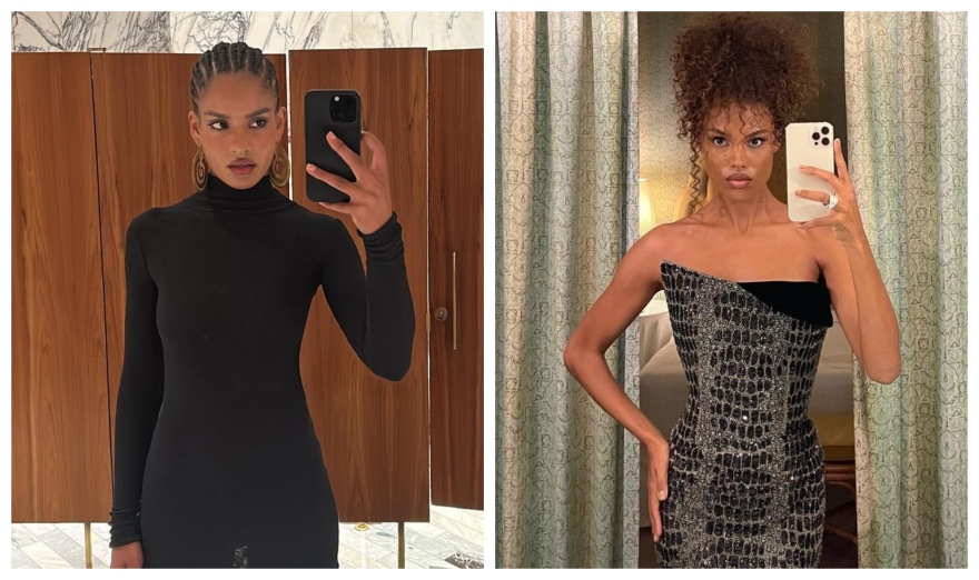 Βενσάν Κασέλ: Η νέα του σύντροφος είναι «ίδια» με την πρώην σύζυγό του, Τίνα Κουνάκεϊ