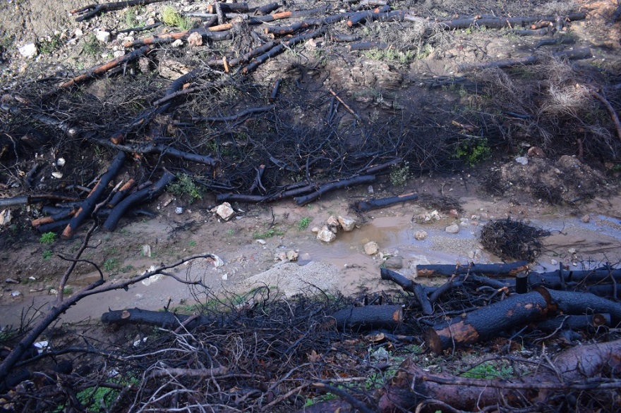 Κωστής Κουριδάκης: Ο υποψήφιος δήμαρχος Διονύσου που θέλει να «ενώσει» Πεντέλη με Πάρνηθα