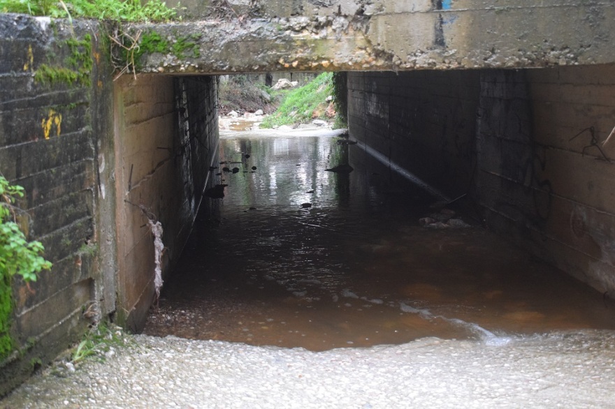 Κωστής Κουριδάκης: Ο υποψήφιος δήμαρχος Διονύσου που θέλει να «ενώσει» Πεντέλη με Πάρνηθα