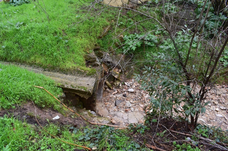 Κωστής Κουριδάκης: Ο υποψήφιος δήμαρχος Διονύσου που θέλει να «ενώσει» Πεντέλη με Πάρνηθα