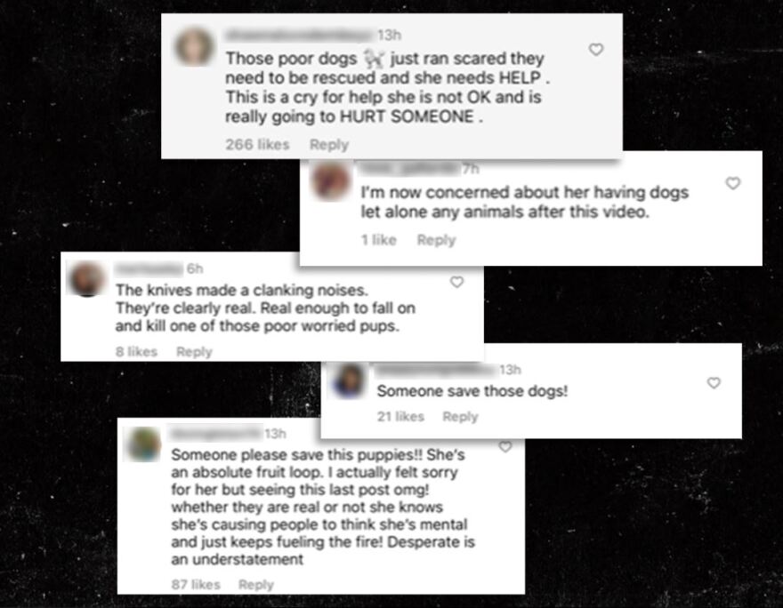 Μπρίτνεϊ Σπίαρς: Το κοινό της ανησυχεί για τα σκυλιά της μετά το βίντεο που τη δείχνει να χορεύει κρατώντας μαχαίρια 