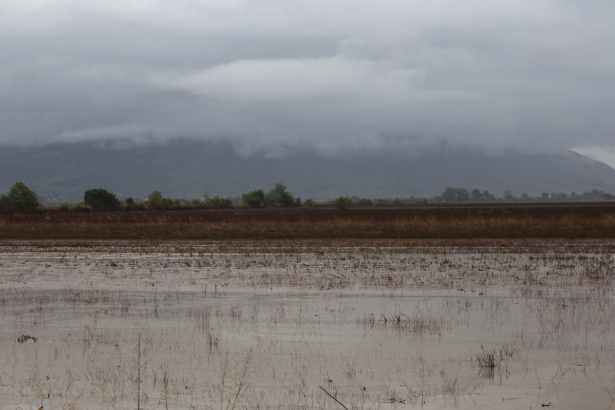 Κακοκαιρία Elias: Αποκαρδιωτικές εικόνες από τον Βλοχό Καρδίτσας - Νέο χτύπημα για τους πλημμυροπαθείς