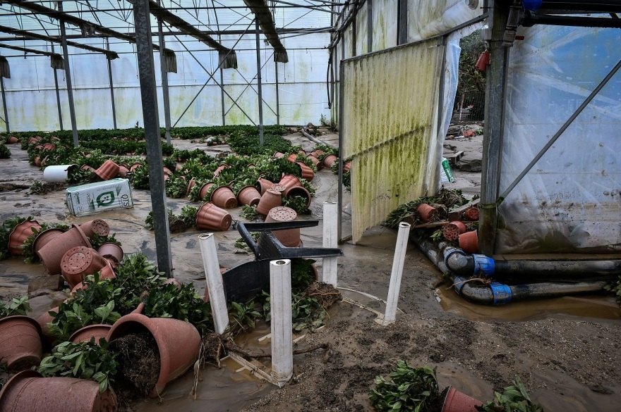 Κακοκαιρία Elias: Εικόνες καταστροφής στον Βόλο - 257 διασώσεις, πλημμύρισαν σπίτια, ΙΧ χάθηκαν στα λασπόνερα