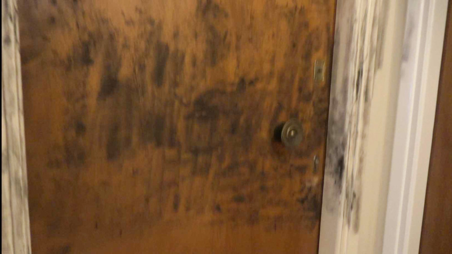 Άγιος Παντελεήμονας: 74χρονος πυροβόλησε δύο άτομα - Ένας νεκρός, συνελήφθη ο δράστης