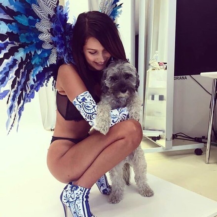 Μπέλα Χαντίντ: Αναπολεί τις εμφανίσεις της ως «άγγελος» με εσώρουχα - Δείτε τις φωτογραφίες