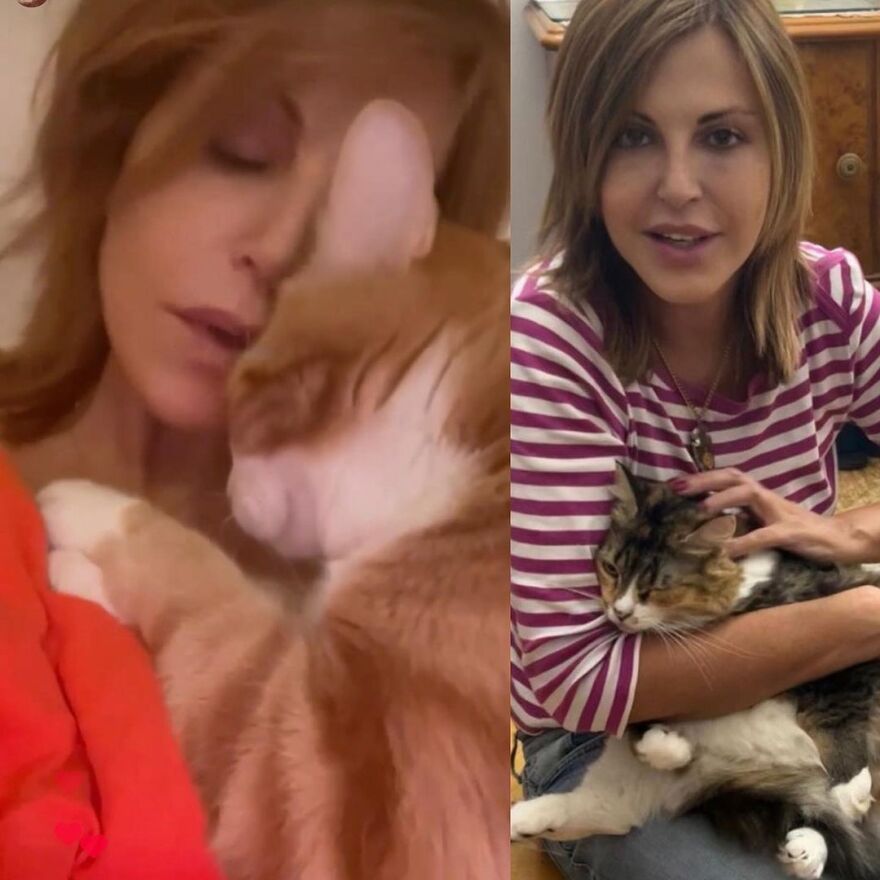 Παγκόσμια Ημέρα των Ζώων: Το Instagram γέμισε φωτογραφίες των αγαπημένων φίλων του ανθρώπου