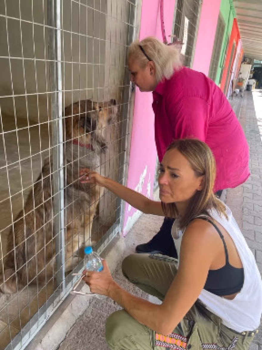 Παγκόσμια Ημέρα των Ζώων: Το Instagram γέμισε φωτογραφίες των αγαπημένων φίλων του ανθρώπου