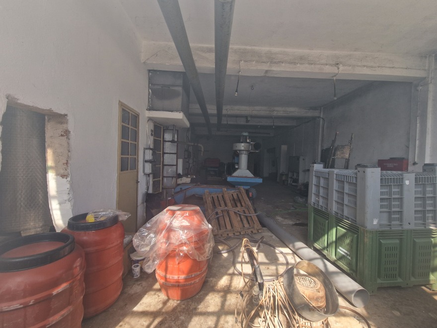 Χαλκιδική: Πόσοι τόνοι λαδιού «εξαφανίστηκαν» τελικά και πώς έκαναν «φτερά» - Τα αναπάντητα ερωτήματα