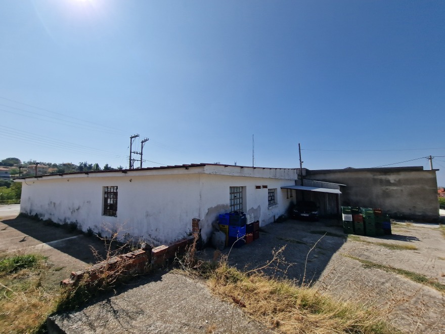 Χαλκιδική: Πόσοι τόνοι λαδιού «εξαφανίστηκαν» τελικά και πώς έκαναν «φτερά» - Τα αναπάντητα ερωτήματα