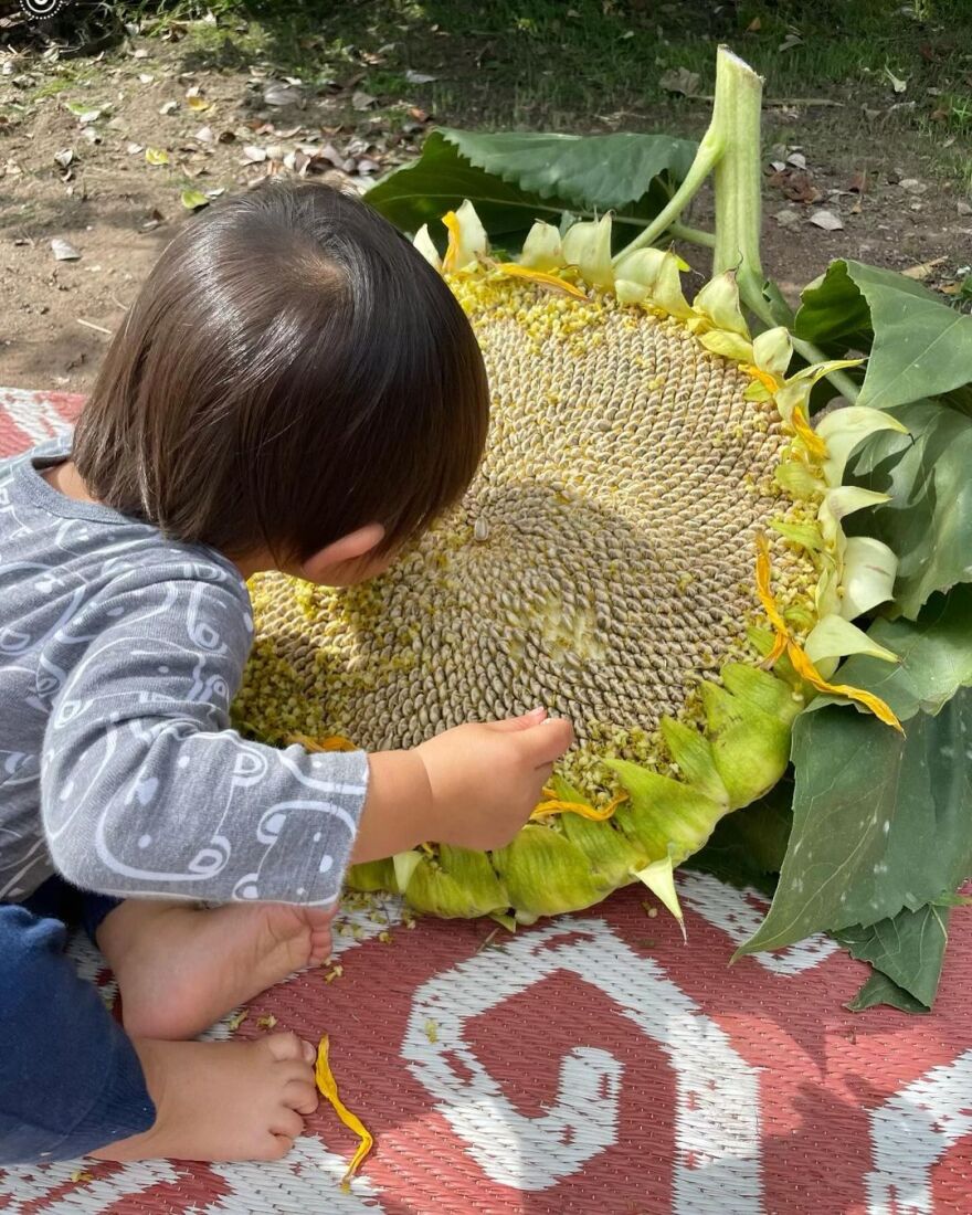 Μπάρμπαρα Στρέιζαντ: Φωτογραφίζει τον εγγονό της στο Instagram