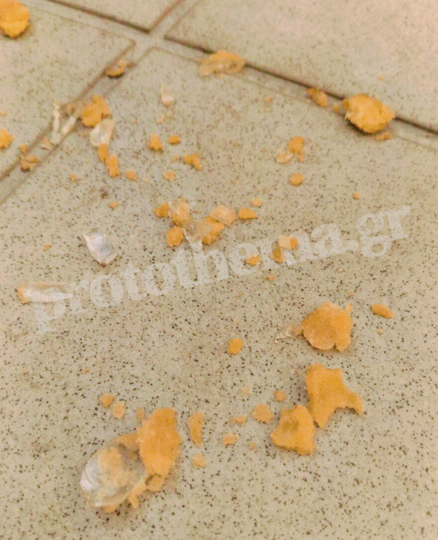 Σεπόλια: Χώρισαν και εκείνος για να την εκδικηθεί έριξε φόλα στον σκύλο της 