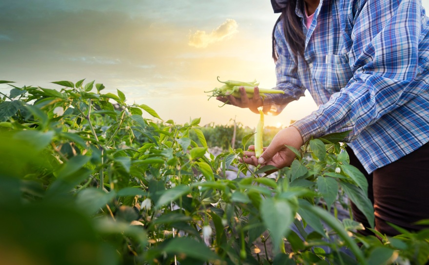 Πώς η τεχνολογία αιχμής αλλάζει τη γεωργία και τη ζωή μας