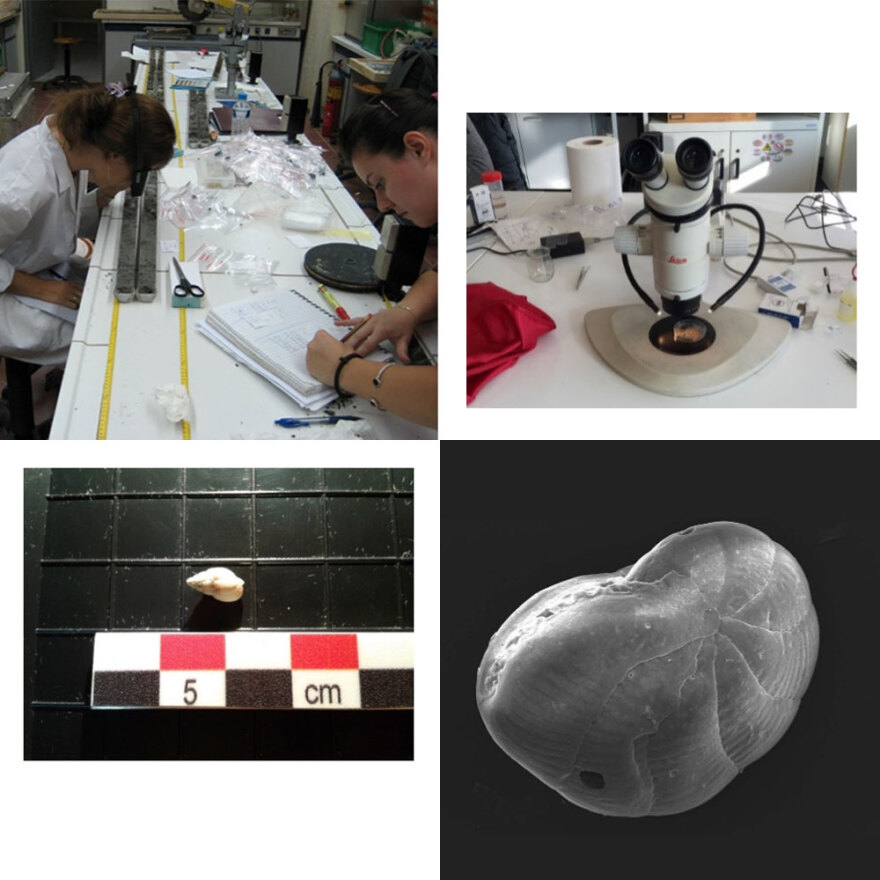 Η Νάξος, ο μύθος του Θησέα και το ελληνικό πρότυπο βιώσιμου τουρισμού