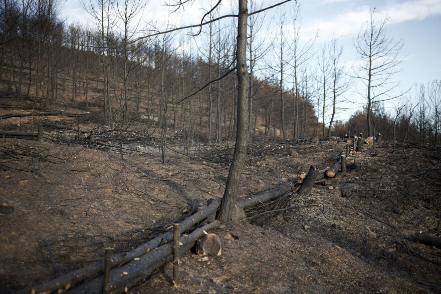 Μητσοτάκης από Έβρο: Δεν εφησυχάζουμε - Κάθε κρίση είναι αφορμή για νέες μεταναστευτικές ροές
