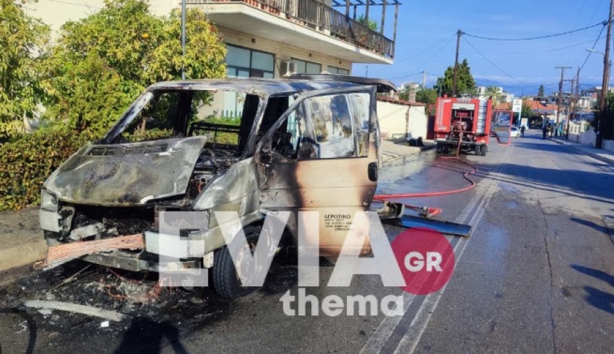 Εύβοια: Φορτηγάκι με υγραέριο τυλίχθηκε στις φλόγες στην Δροσιά Χαλκίδας 