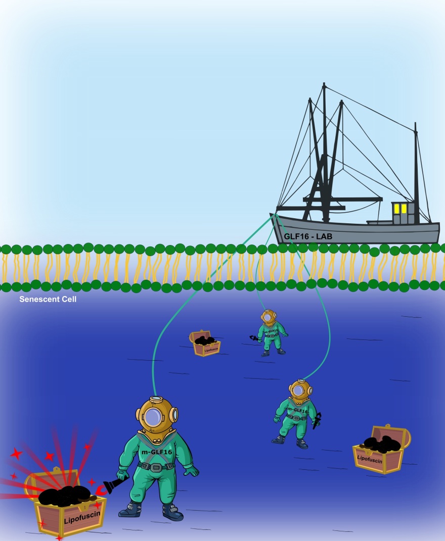 Καρκίνος: Πρωτοποριακή έρευνα Ελλήνων επιστημόνων ανοίγει τον δρόμο για εξατομικευμένη θεραπεία