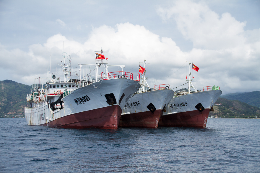 Πώς η Κίνα εξαντλεί τα παγκόσμια αποθέματα ψαριών; 