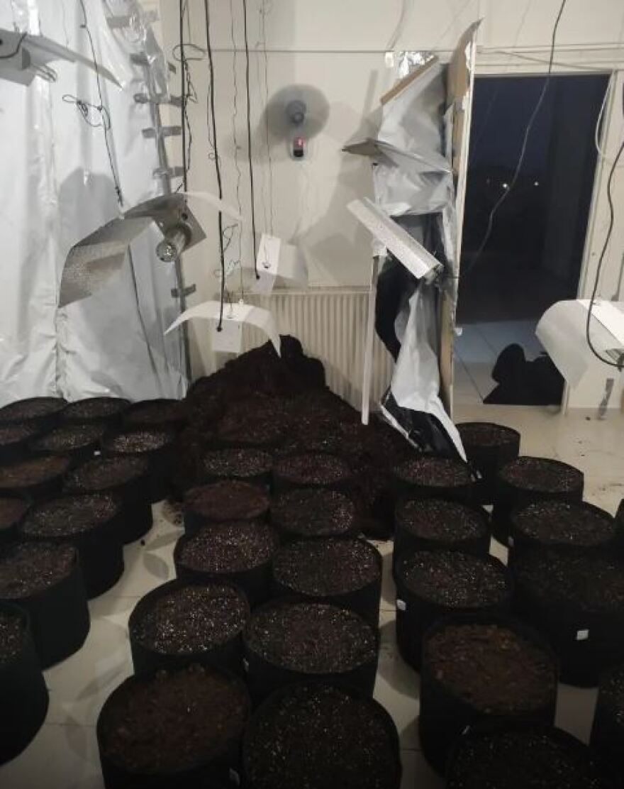 Νέα Μάκρη: Μετέτρεψαν σπίτι σε «εργοστάσιο» κάνναβης - Τέσσερις συλλήψεις