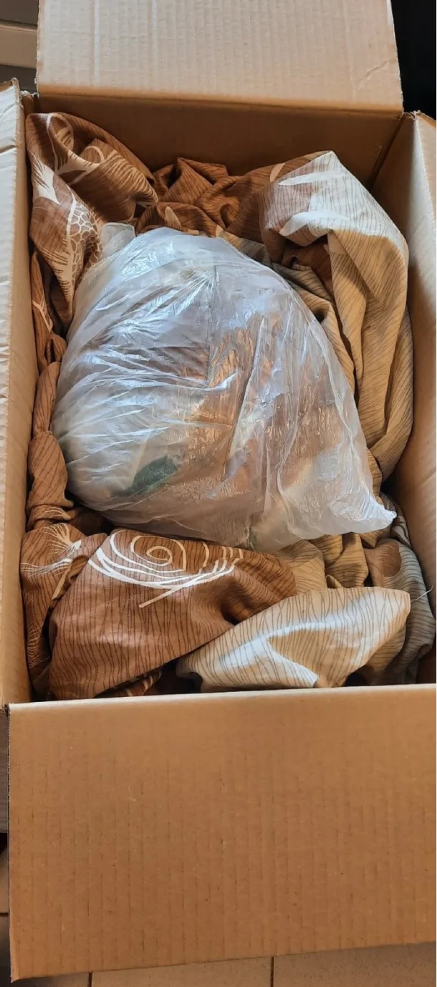 Ρέθυμνο: Αρχαία νομίσματα, όπλα και κροτίδες βρέθηκαν σε σπίτι