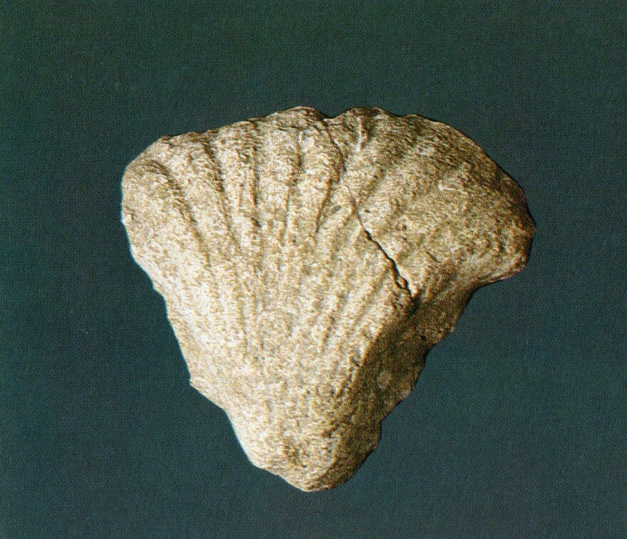 Αρχάνες: Νέα στοιχεία για το μινωικό ανάκτορο έφεραν στο φως οι ανασκαφές - Δείτε φωτογραφίες