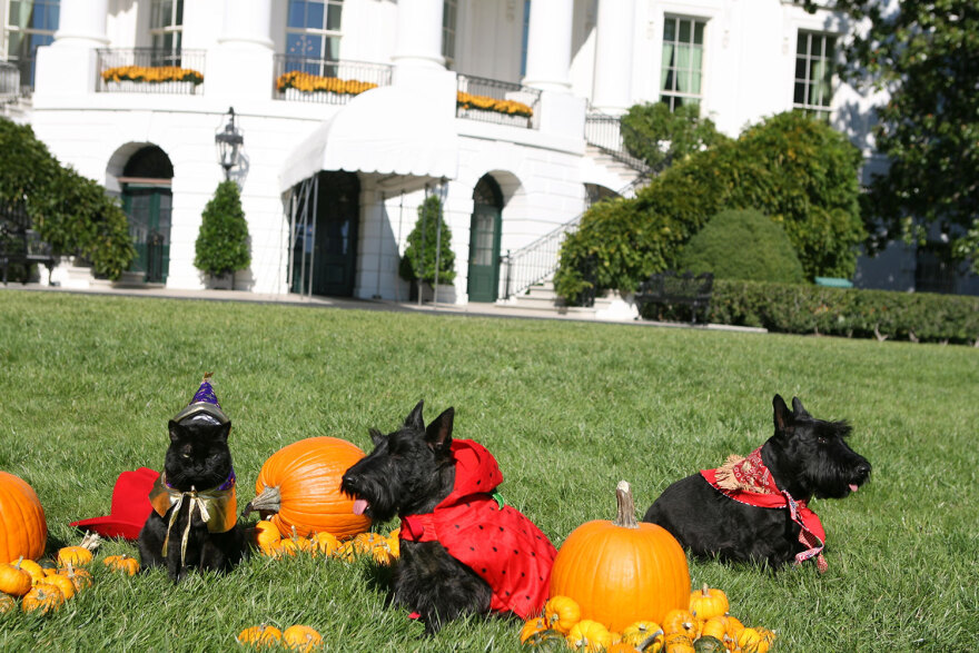 «Trick or treat» στον Λευκό Οίκο – Ο Μπάιντεν στο πάρτι με τα μασκαρεμένα παιδιά για το Χάλοουϊν