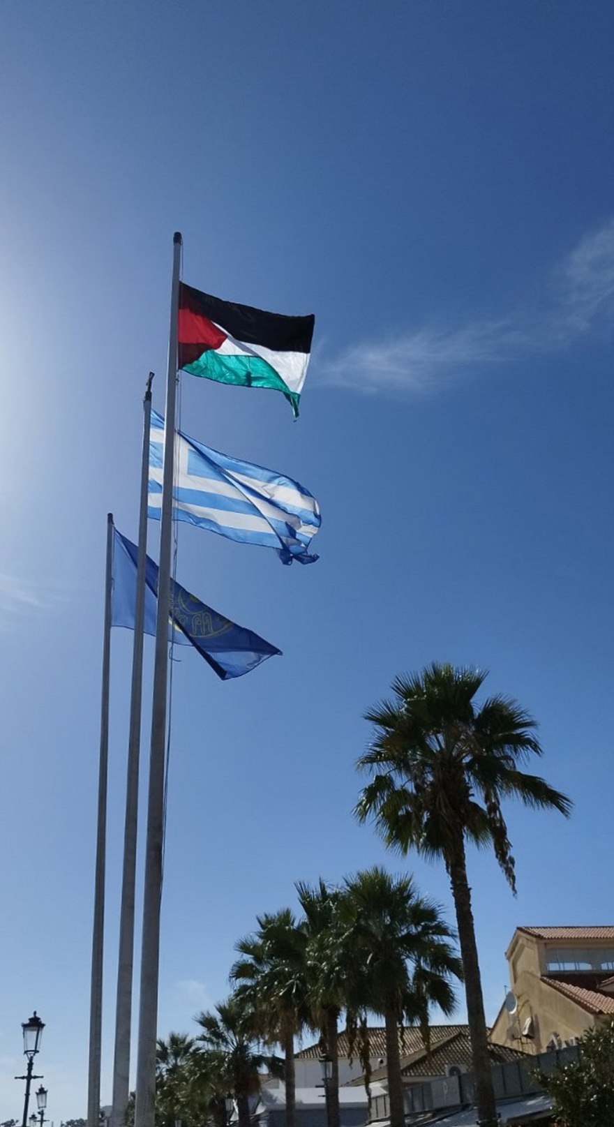 Πρέβεζα: Κατέβασαν τη σημαία της ΕΕ και ανέβασαν τη σημαία της Παλαιστίνης έξω από το δημαρχείο – Δείτε βίντεο