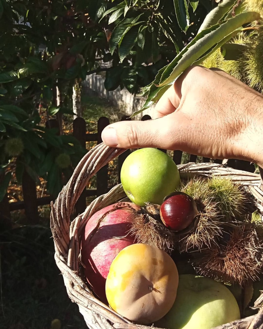 Θανάσης Ευθυμιάδης: Έχω καθαρό νερό και ελάχιστα χρήματα στην τσέπη, ανήκω στο τυχερό 25% των ανθρώπων