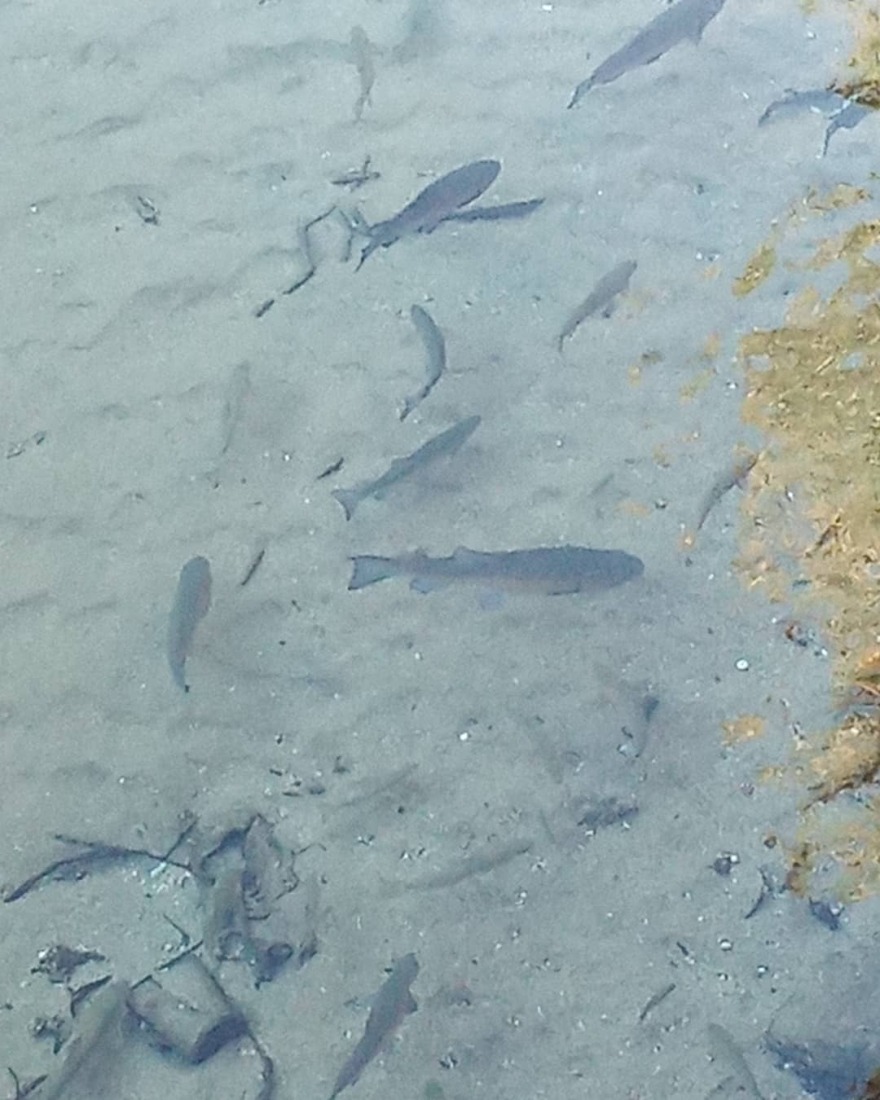 Θανάσης Ευθυμιάδης: Έχω καθαρό νερό και ελάχιστα χρήματα στην τσέπη, ανήκω στο τυχερό 25% των ανθρώπων