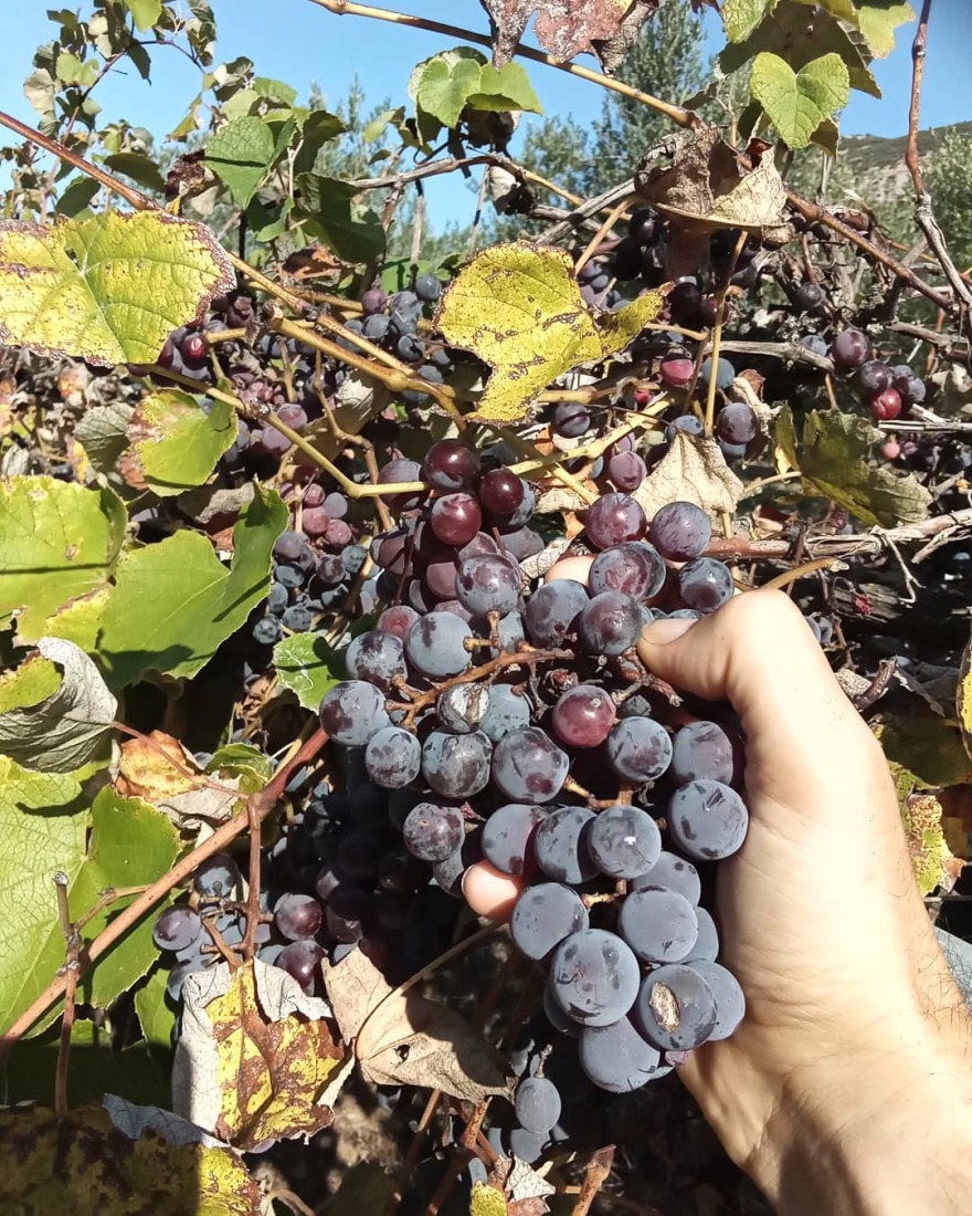 Θανάσης Ευθυμιάδης: Έχω καθαρό νερό και ελάχιστα χρήματα στην τσέπη, ανήκω στο τυχερό 25% των ανθρώπων