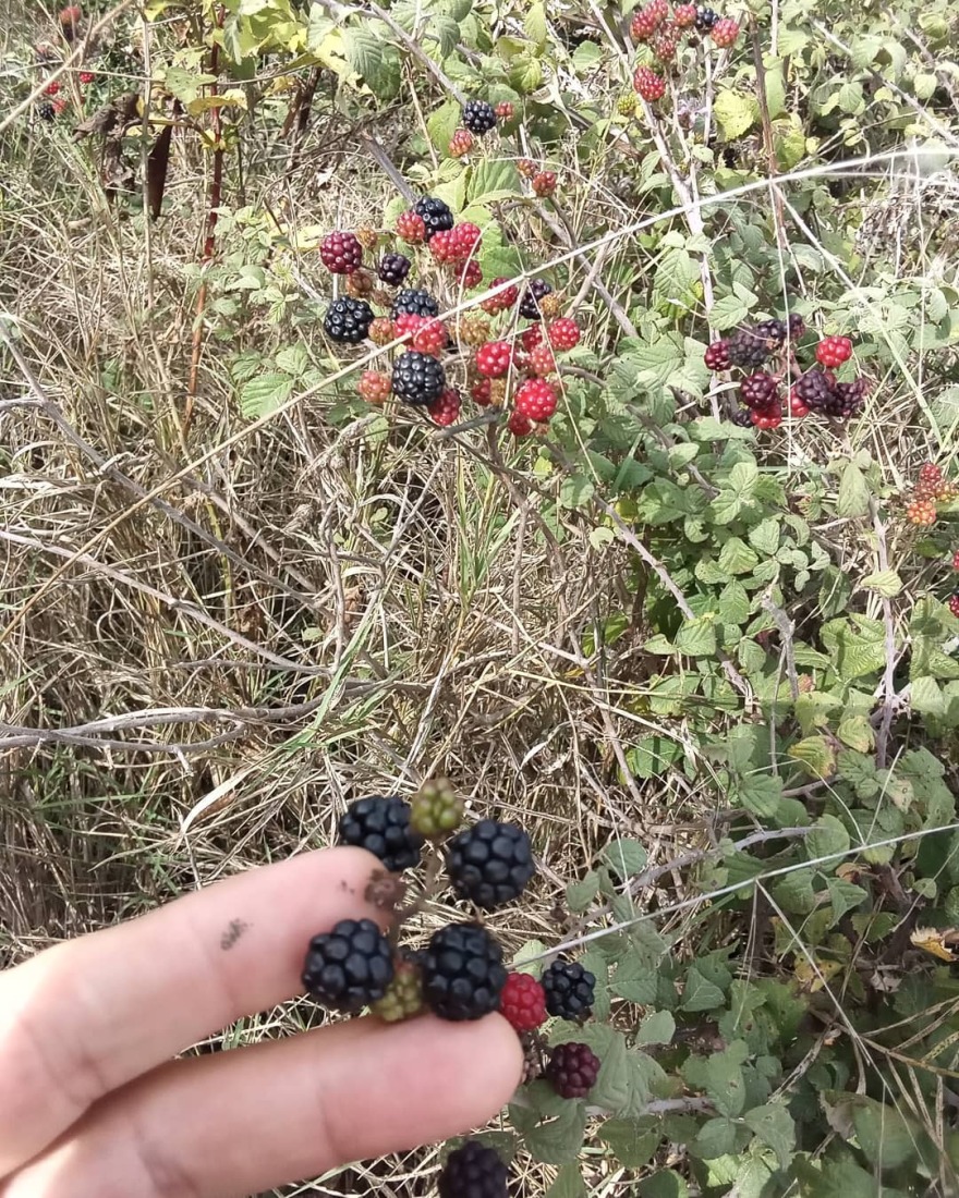 Θανάσης Ευθυμιάδης: Έχω καθαρό νερό και ελάχιστα χρήματα στην τσέπη, ανήκω στο τυχερό 25% των ανθρώπων