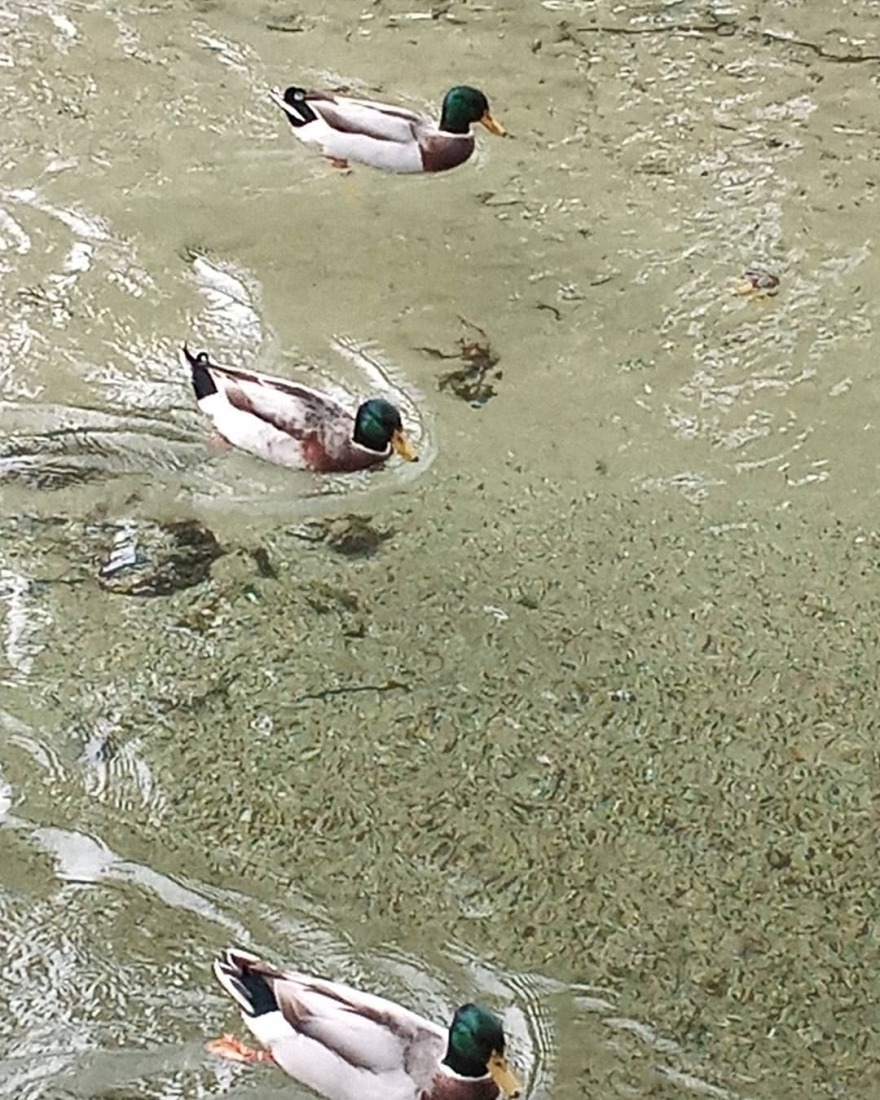 Θανάσης Ευθυμιάδης: Έχω καθαρό νερό και ελάχιστα χρήματα στην τσέπη, ανήκω στο τυχερό 25% των ανθρώπων