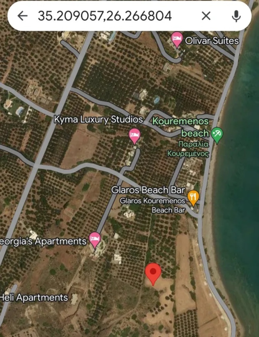  Κτηνωδία στη Σητεία: «Πυροβόλησαν από κοντινή απόσταση και σκότωσαν τη γάτα μου»