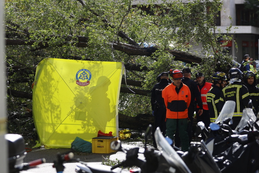 Στο έλεος της κακοκαιρίας Ciaran η Ευρώπη: Τουλάχιστον 15 νεκροί - Νοικοκυριά χωρίς ρεύμα, προβλήματα στις μεταφορές