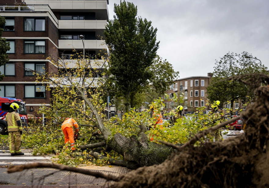 Στο έλεος της κακοκαιρίας Ciaran η Ευρώπη: Τουλάχιστον 15 νεκροί - Νοικοκυριά χωρίς ρεύμα, προβλήματα στις μεταφορές