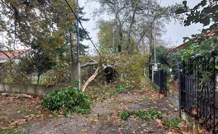 Κακοκαιρία: Αναποδογύρισαν αυτοκίνητα στην Ξάνθη - Ανεμοστρόβιλος στην Ολυμπιάδα Χαλκιδικής 