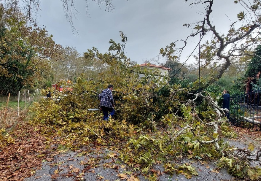 Κακοκαιρία: Αναποδογύρισαν αυτοκίνητα στην Ξάνθη - Ανεμοστρόβιλος στην Ολυμπιάδα Χαλκιδικής 