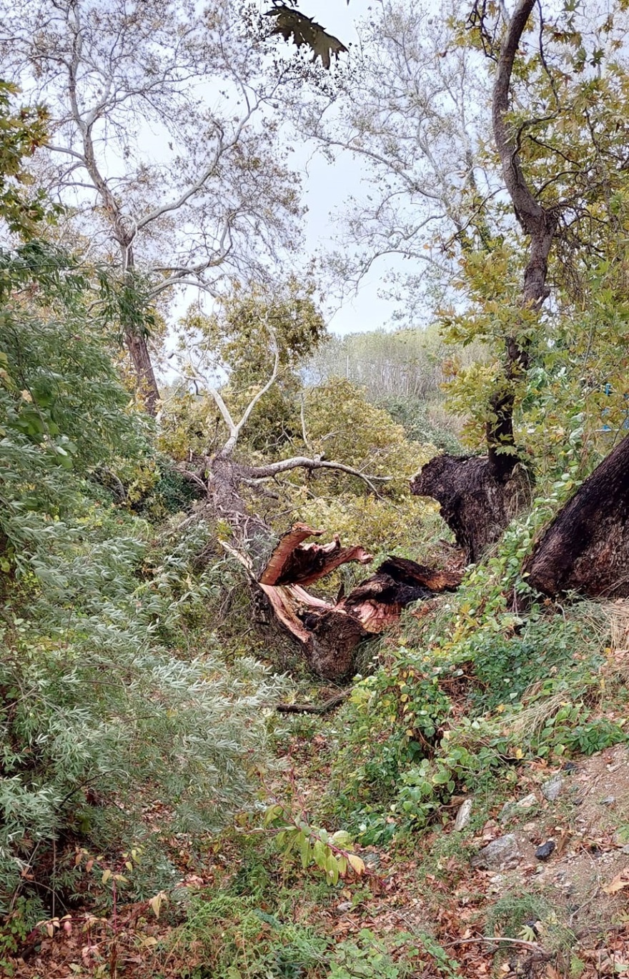 Κακοκαιρία: Αναποδογύρισαν αυτοκίνητα στην Ξάνθη - Ανεμοστρόβιλος στην Ολυμπιάδα Χαλκιδικής 