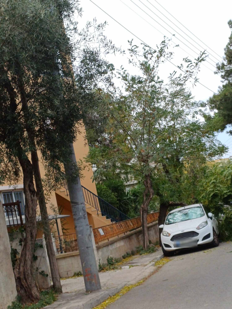 Καιρός: Πτώση δέντρου από τον άνεμο πάνω σε αυτοκίνητα στην Αγία Παρασκευή – Δείτε φωτογραφίες