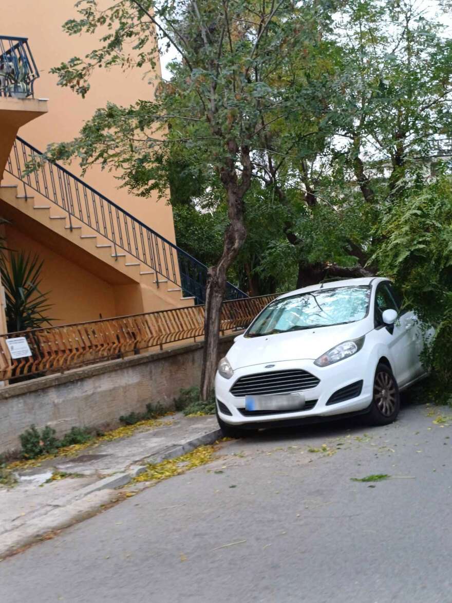 Καιρός: Πτώση δέντρου από τον άνεμο πάνω σε αυτοκίνητα στην Αγία Παρασκευή – Δείτε φωτογραφίες