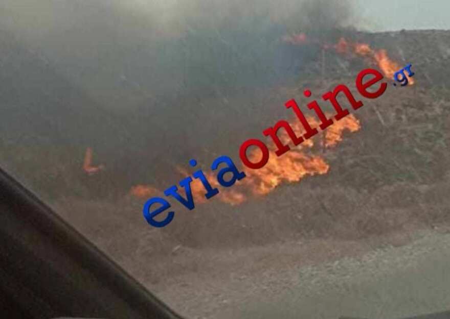 Φωτιά στην Κάρυστο: Εκκενώθηκαν δύο χωριά, απειλούνται σπίτια και στάβλοι - Δείτε βίντεο