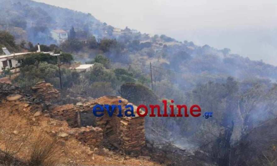 Φωτιά στην Κάρυστο: Εκκενώθηκαν δύο χωριά, απειλούνται σπίτια και στάβλοι - Δείτε βίντεο