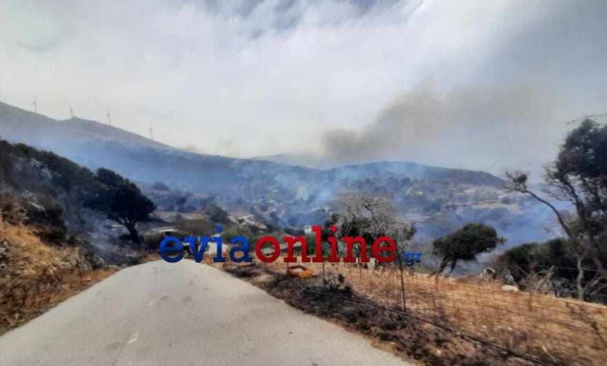 Φωτιά στην Κάρυστο: Εκκενώθηκαν δύο χωριά, απειλούνται σπίτια και στάβλοι - Δείτε βίντεο