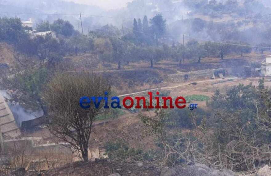 Φωτιά στην Κάρυστο: Εκκενώθηκαν δύο χωριά, απειλούνται σπίτια και στάβλοι - Δείτε βίντεο