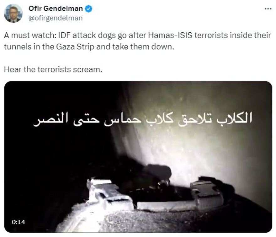 Πόλεμος στο Ισραήλ: Σκυλιά στα τούνελ κυνηγούν τρομοκράτες της Χαμάς - Δείτε βίντεο