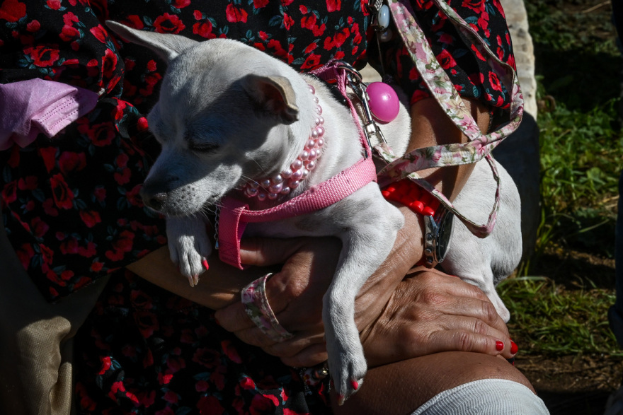 Καιρός: Ξεχύθηκε ο κόσμος στην παραλία του Φλοίσβου - Δείτε φωτογραφίες