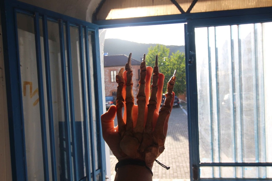 Πρέσπες: Ανασύνθεσαν τον σκελετό αρκούδας που είχε πεθάνει από δηλητηριασμένο δόλωμα - Δείτε φωτογραφίες